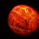 Illustration for article titled Night of A 1000 Jack o Lanterns